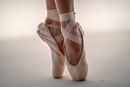 Rose Gold Fleshtone Stretch Canvas Ballet Shoe